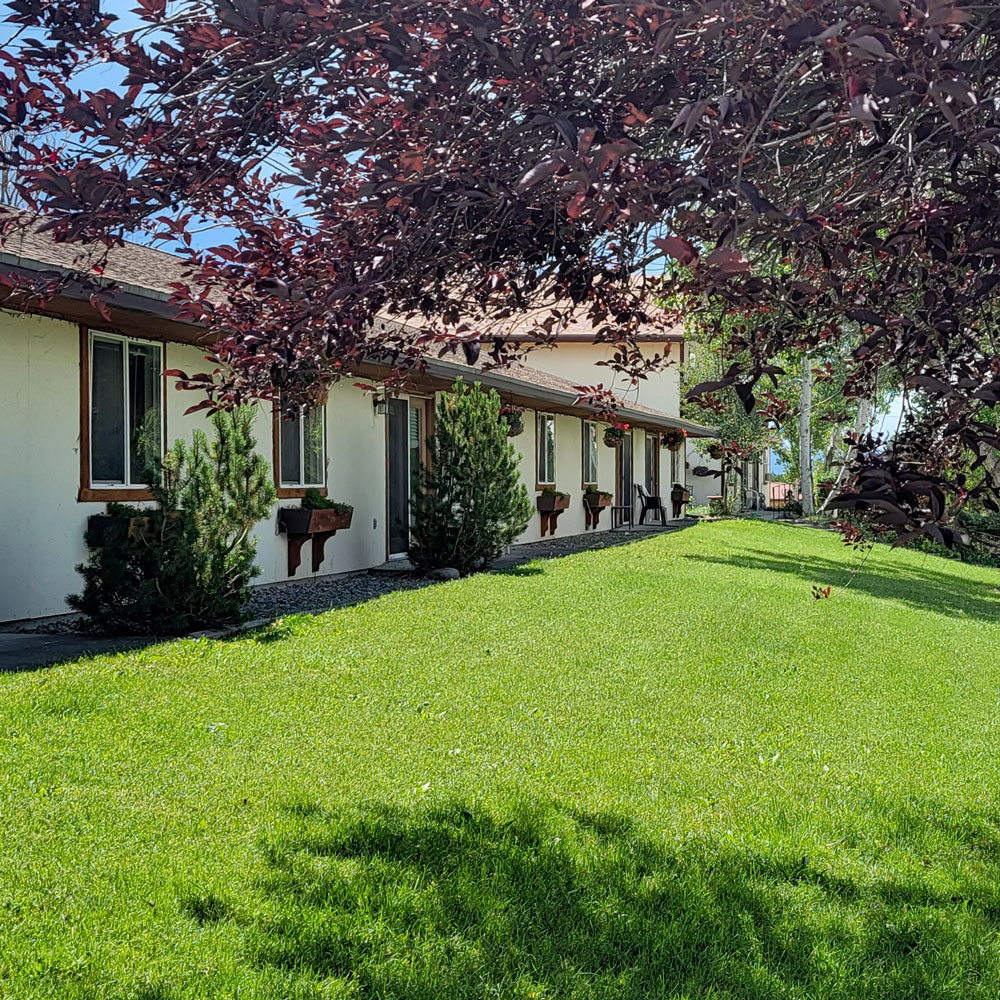 A sunny day at Spring Creek Chalet senior apartments with a lawn and trees.