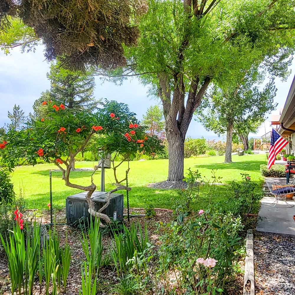 An idyllic patio garden at the Spring Creek Chalet retirement community.